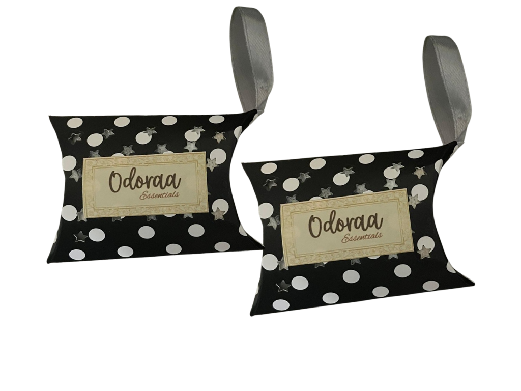 Shoe Odor Eliminator & Deodorizer| Non-Toxic, Natural Eco-Friendly Odor Absorber, Moisture & Sweat Control, Solar Rechargeable | Alternative to Charcoal Bags – Odoraa | 2 Pairs
