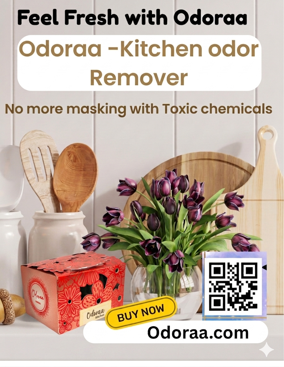 Odoraa -Kitchen Odor Absorber | Solar Rechargeable | Long-Lasting Up to 3months | Eco-Friendly Naturally freshens kitchen and Restrooms with Odoraa Essentials(pack of 2)