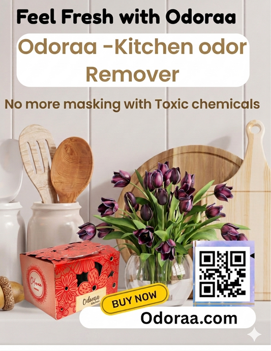 Odoraa -Kitchen Odor Absorber | Solar Rechargeable | Long-Lasting Up to 3months | Eco-Friendly Naturally freshens kitchen and Restrooms with Odoraa Essentials(pack of 2)