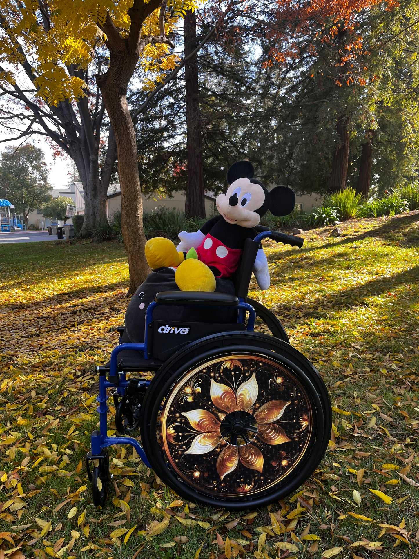 3D Golden wheel- Rental